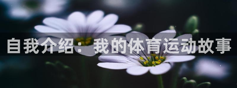自我介绍：我的体育运动故事