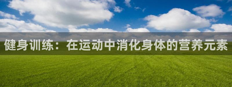 健身训练：在运动中消化身体的营养元素