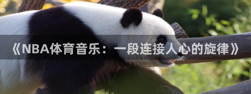《NBA体育音乐：一段连接人心的旋律》