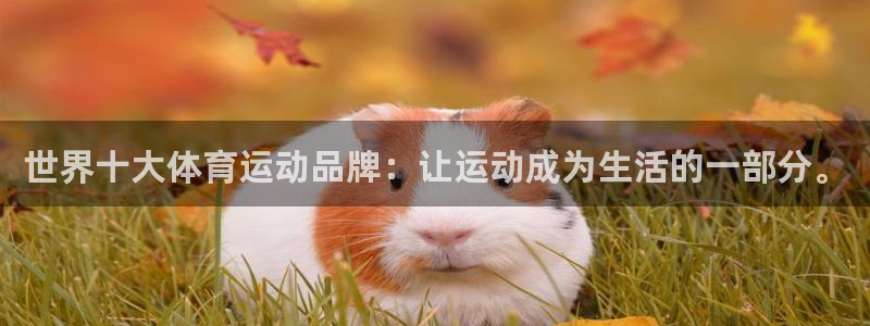 世界十大体育运动品牌：让运动成为生活的一部分。