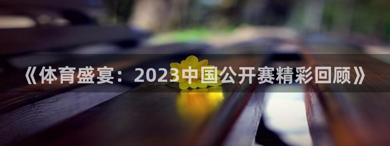 《体育盛宴：2023中国公开赛精彩回顾》