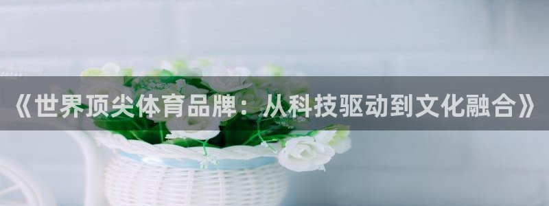《世界顶尖体育品牌：从科技驱动到文化融合》