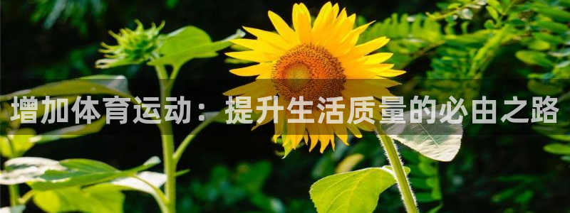 增加体育运动：提升生活质量的必由之路
