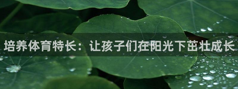 培养体育特长：让孩子们在阳光下茁壮成长