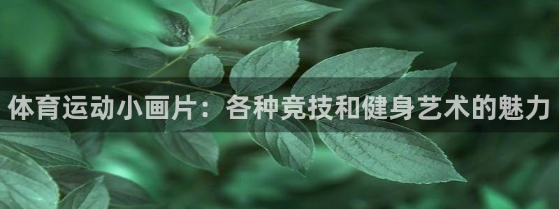 体育运动小画片：各种竞技和健身艺术的魅力